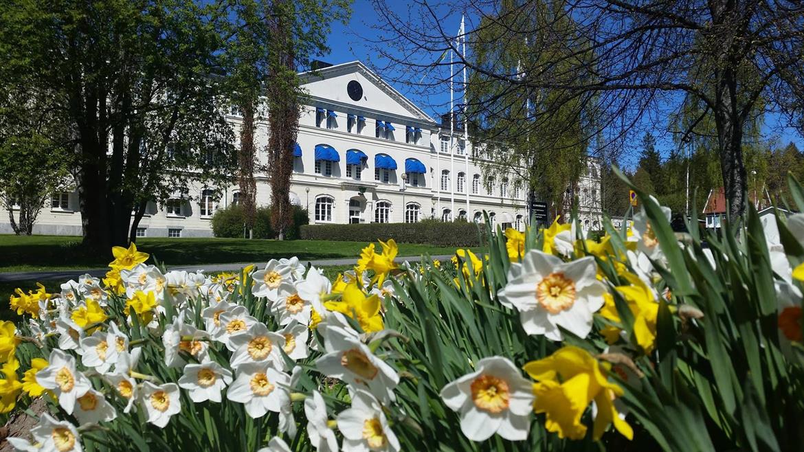 Furunäset Hotell och Konferens