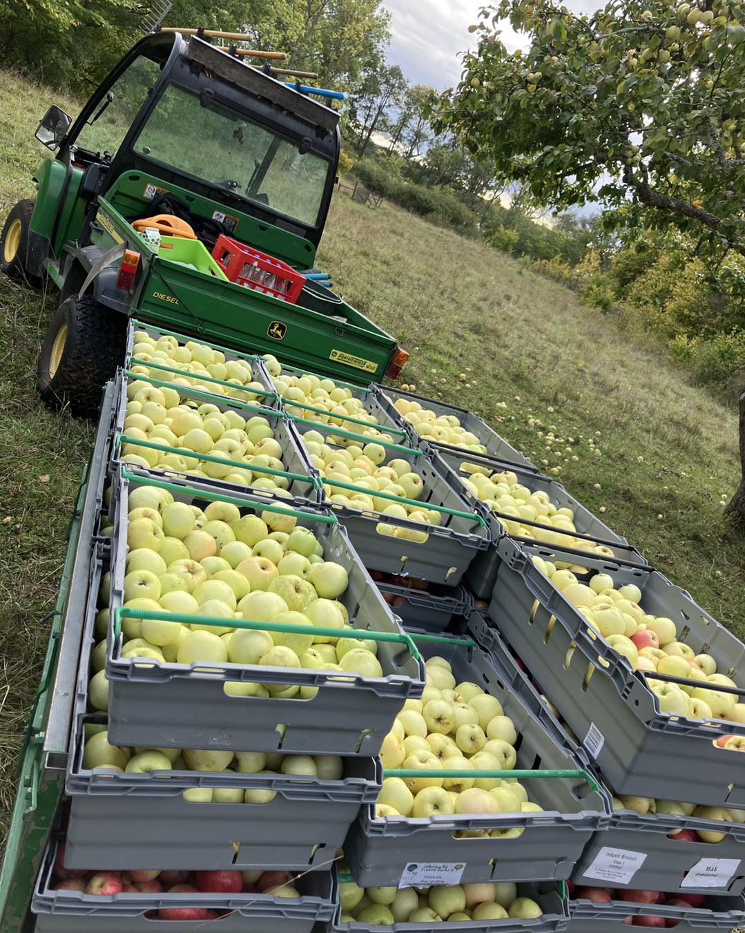 äpplen wijk slott Balingsta